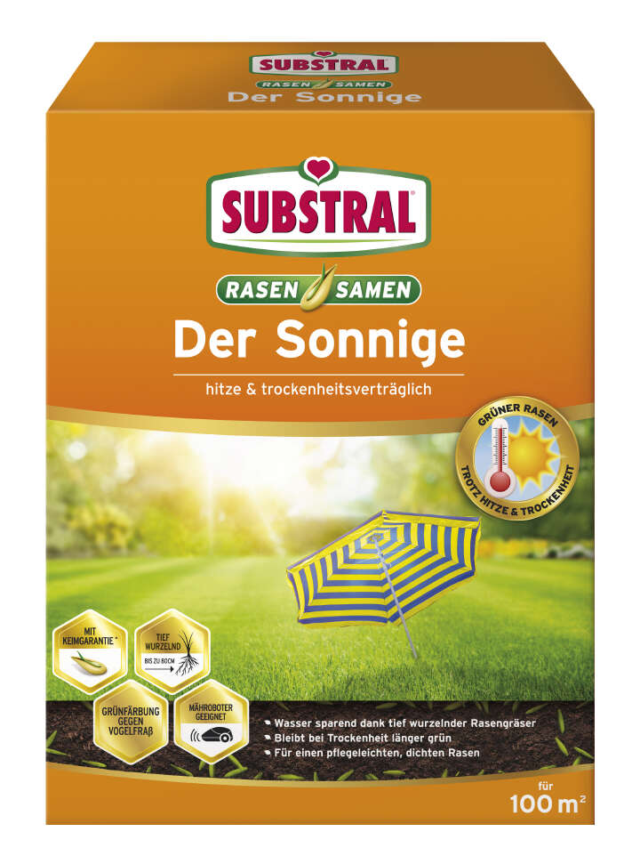 SUBSTRAL Der Sonnige
